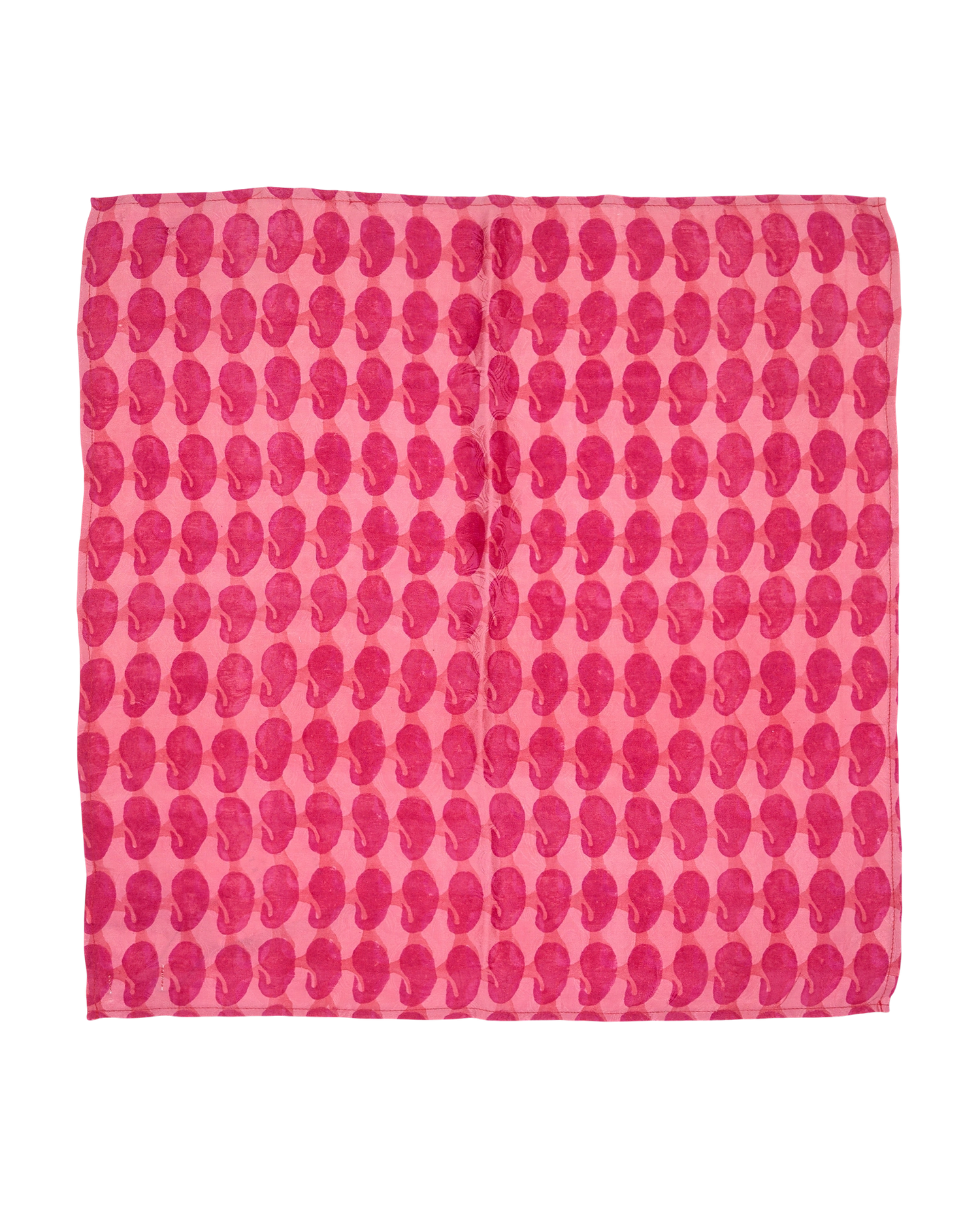 Vinita SILK Scarf - No. 325